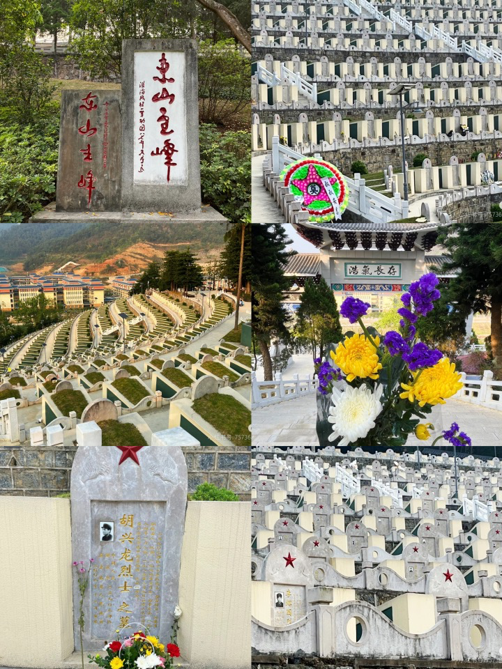 1728721107596051884.png 1728721107596051884.png