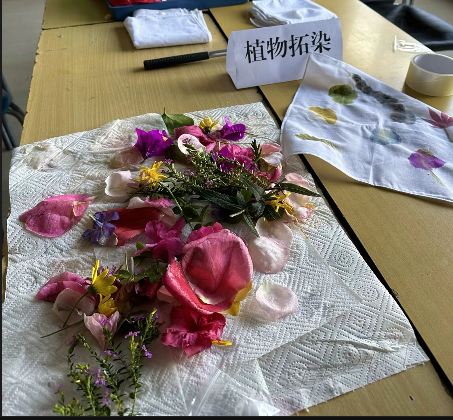 1732760820688000869.png 1732760820688000869.png