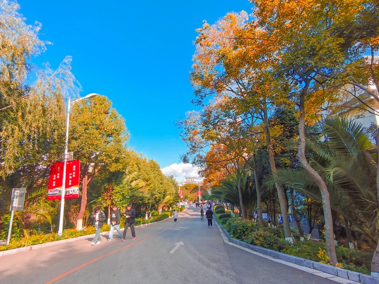 1765855029059007228.jpg 64ec4622b15267cf557957b2f303ec68.jpg