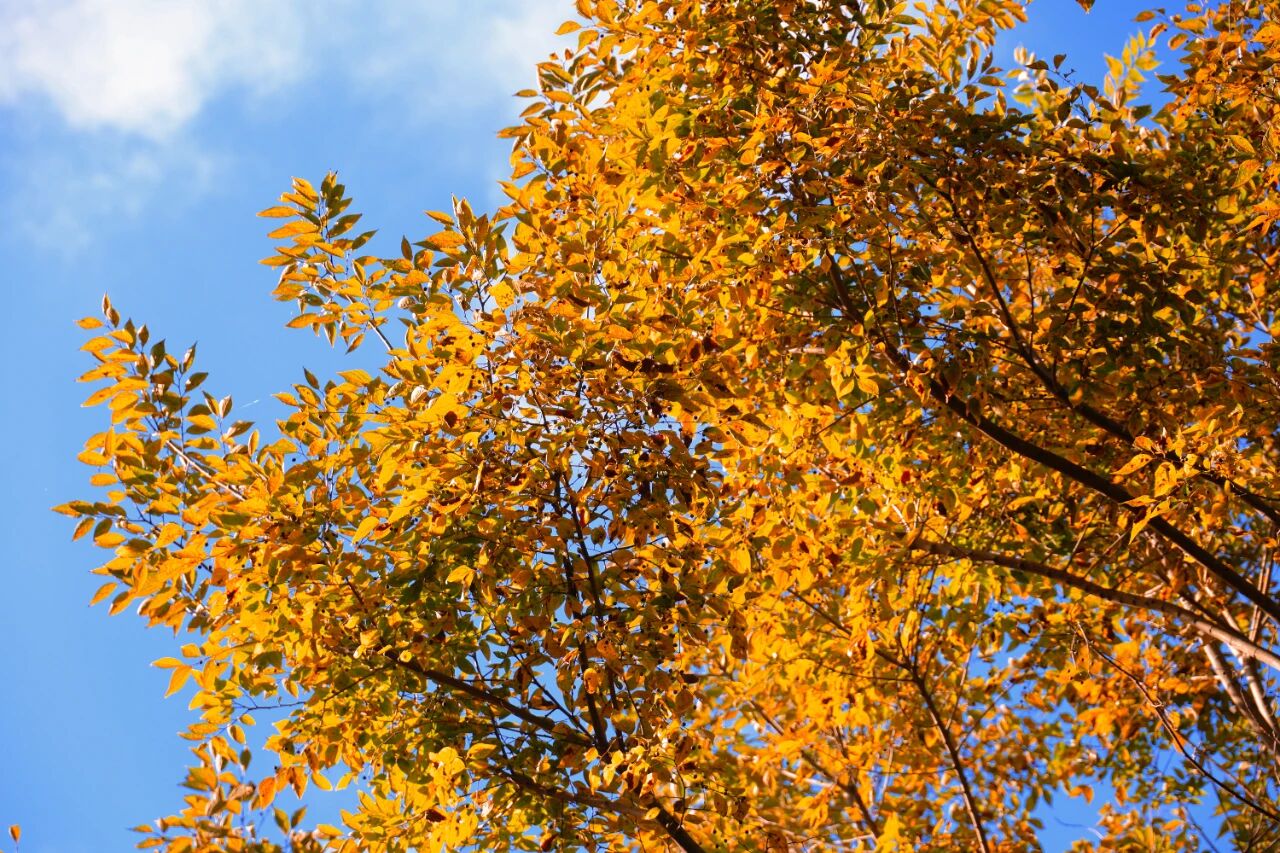 1765855050127089878.jpg 1b8fbf661a120991279e6eba59f723fa.jpg