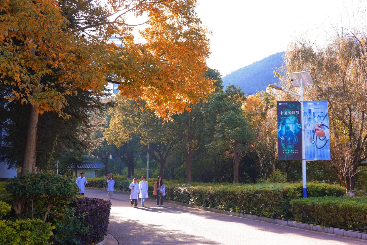 1765855076034022824.jpg 4eacc404e9d3f28861c2570f22c6e7da.jpg