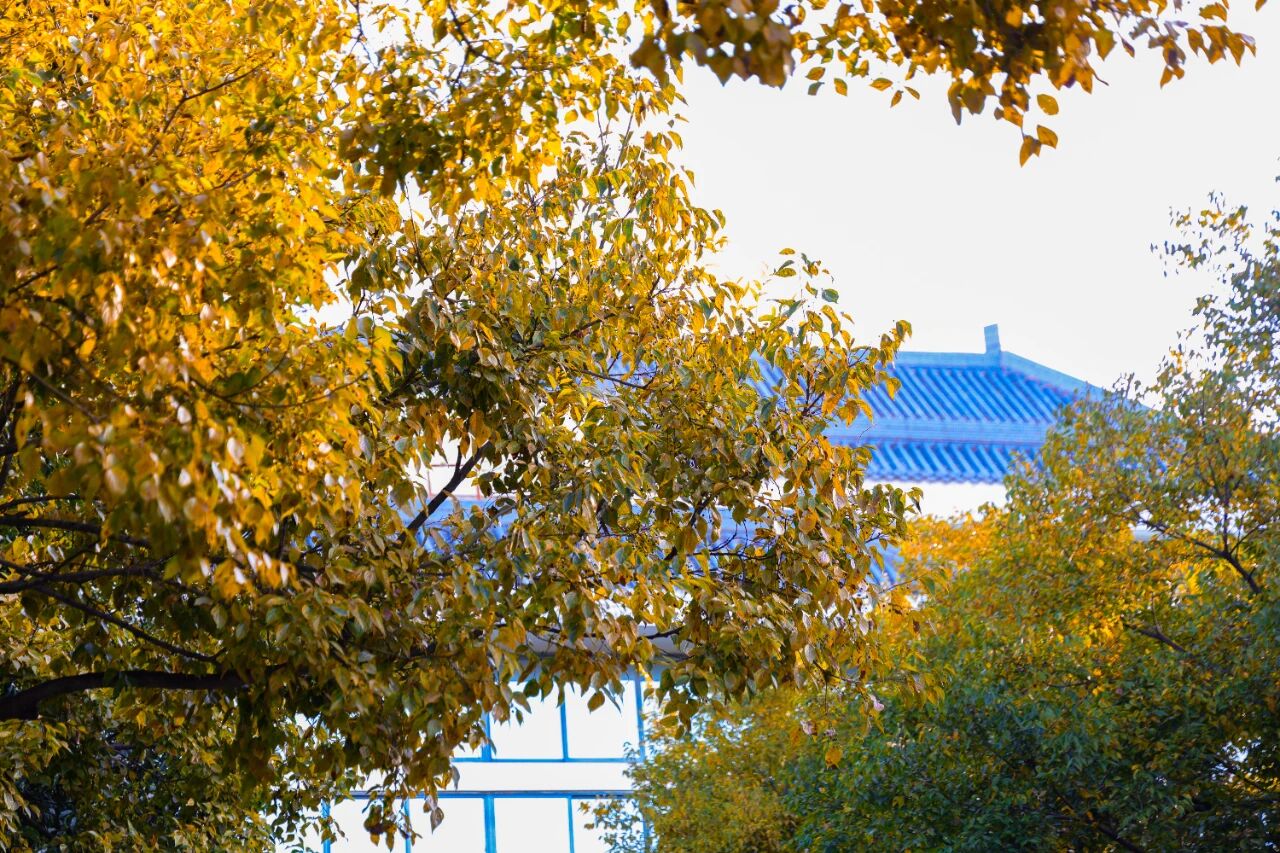 1765855086693034849.jpg 7b40a52eb594a6cd6fb247ef8bb2c6ff.jpg