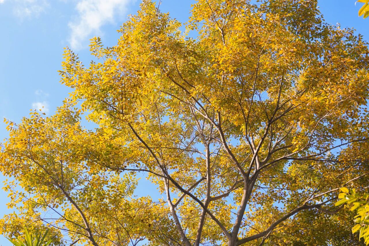 1765855142458043403.jpg af46fbe7c0b1ba32f83d9ce027cf2e93.jpg