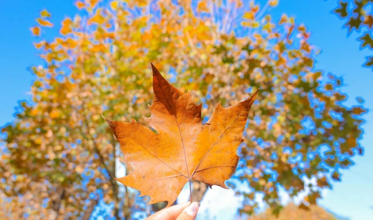 1765855207121069587.jpg 3436dcf235ab19c4d668b5c9652bb9f5.jpg