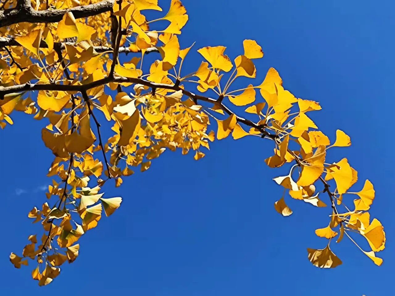 1765855222853071091.jpg 974db98d5bff86c03b3f06dd66cfdce0.jpg