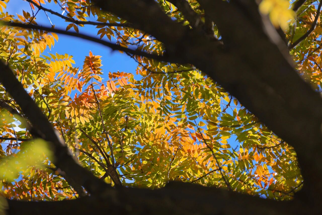 1765855237632091641.jpg fb78b8330ed516f3d9c32e7adff01af3.jpg